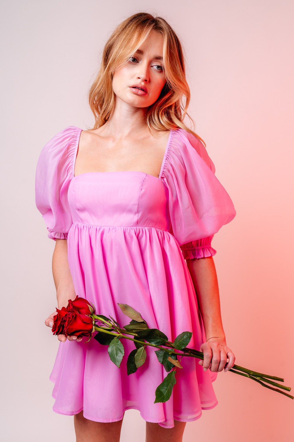 Blushing Rose Dress