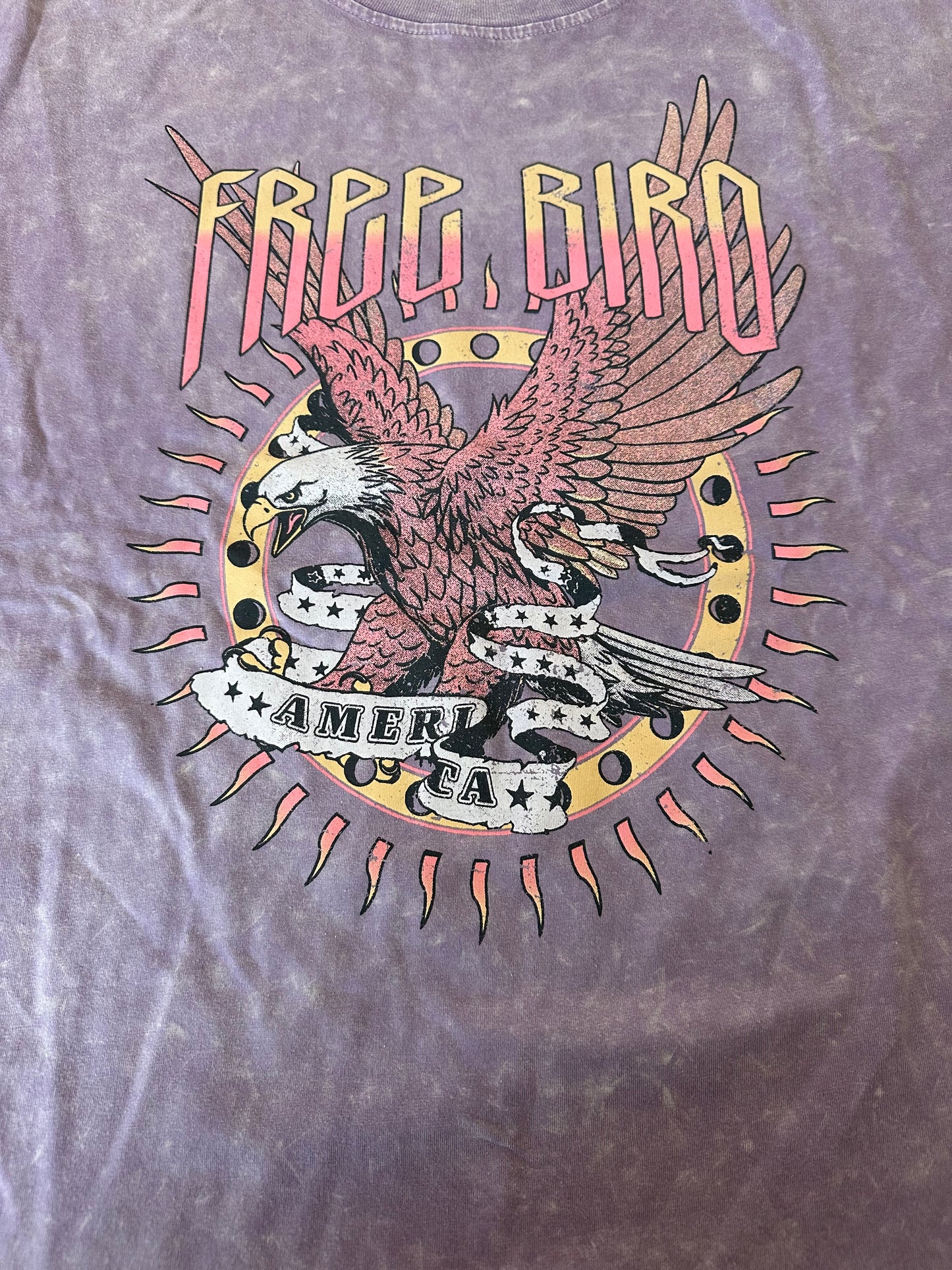 Free Bird Mineral Washed Graphic Tee